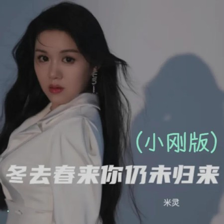 冬去春來你仍未歸來 (小剛版)