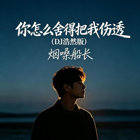你怎麽捨得把我傷透 (DJ浩然版)