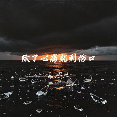 除了心痛就剩傷口