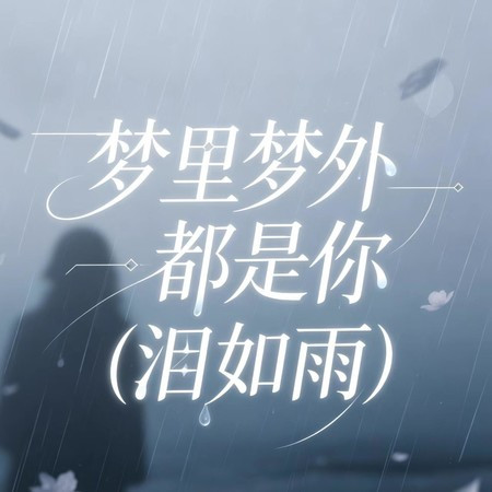 夢里夢外都是你（淚如雨）