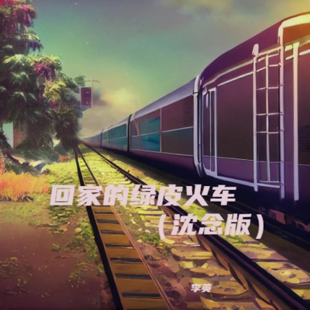 迴家的綠皮火車 (DJ沈念版)
