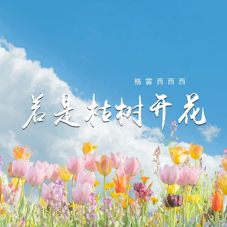 專輯封面