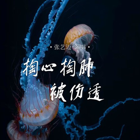 專輯封面