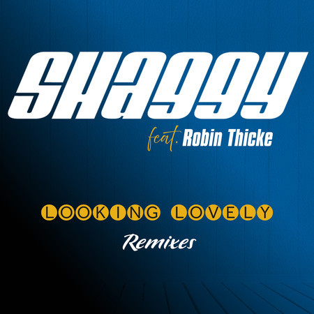 Looking Lovely (feat. Robin Thicke & ZEDDY WILL) (Remix)