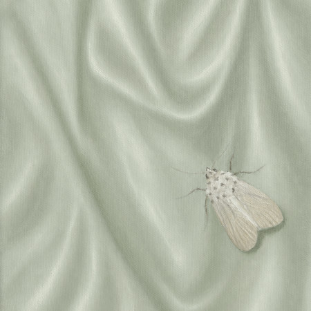 held by evening