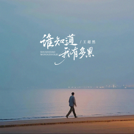 誰知道我有多累