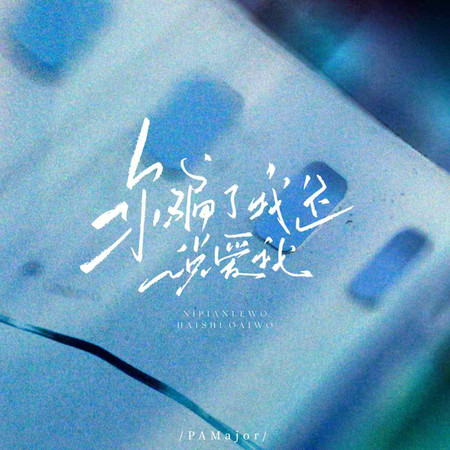 你騙了我還說愛我