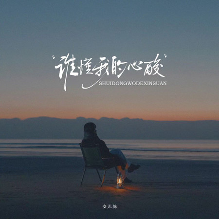 誰懂我的心酸
