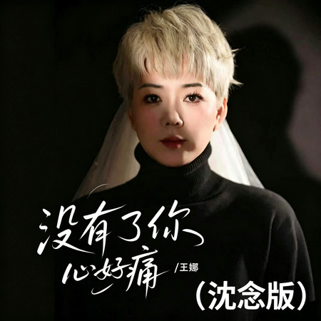 沒有了你心好痛 (沈念版)