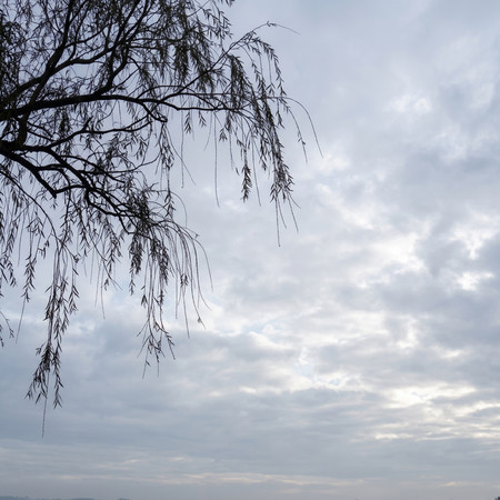 Rainy Day