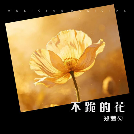不跪的花