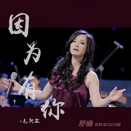 因爲有你 (舒楠監製 官方正式版)