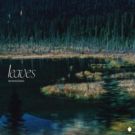 Leaves (Reimagined)