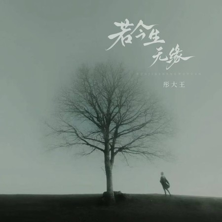 若今生無緣（若今生已無緣）