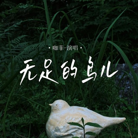 無足的鳥兒