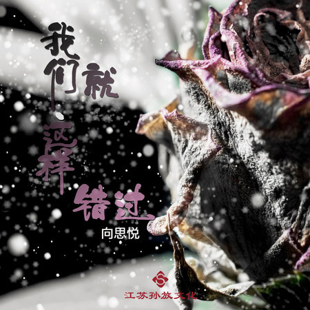 我們就這樣錯過
