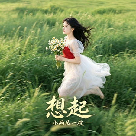 想起 (傷感版)