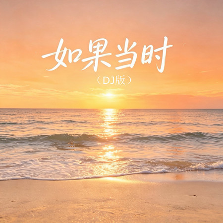如果當時（DJ版）