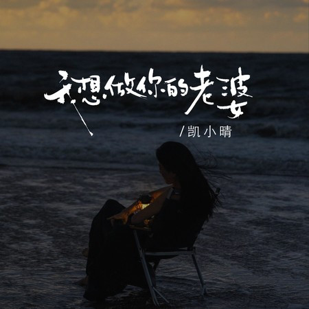 我想做你的老婆