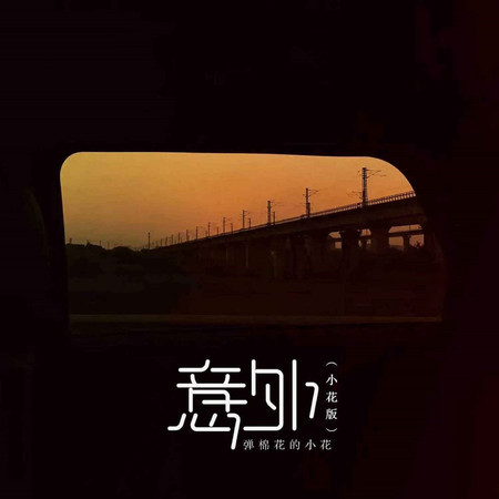 意外 (小花版)