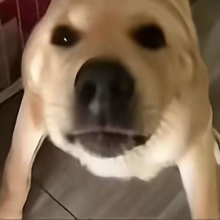 專輯封面