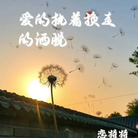 愛的執著換走的灑脫