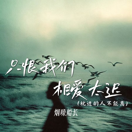只恨我們相愛太遲 (枕邊的人不能離)