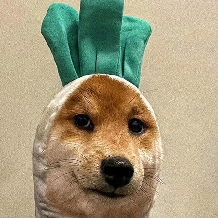 專輯封面