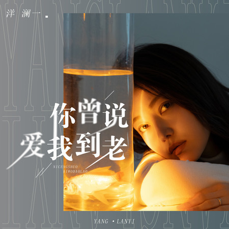 你曾說愛我到老