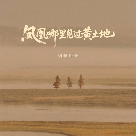 鳳凰哪里見過黃土地 (DJ版)