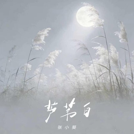 蘆葦白