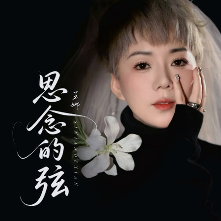 思念的弦