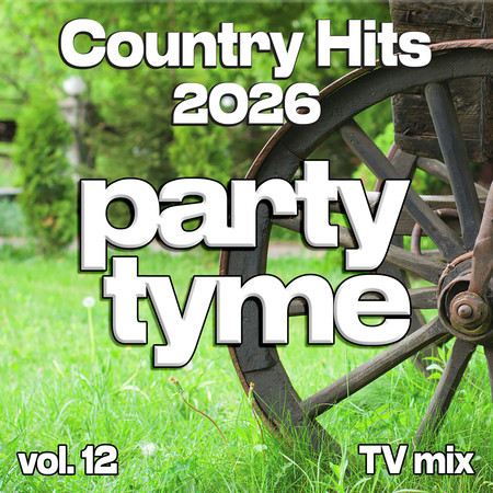 Country Hits 2026, Vol. 12 (TV mix)
