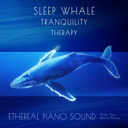 睡眠鯨魚寧靜療癒 鋼琴空靈深海白噪音 (Sleep Whale Tranquility Therapy, Ethereal Piano Sound, Deep Sea White Noise.)