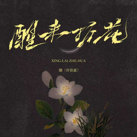 醒來折花