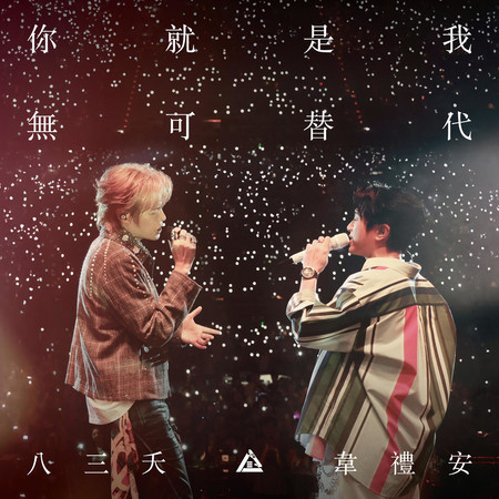 你就是我無可替代 (Live) (feat. 韋禮安)