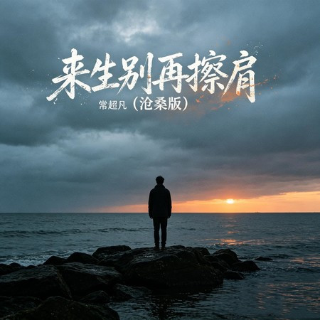 來生別再擦肩 (滄桑版)