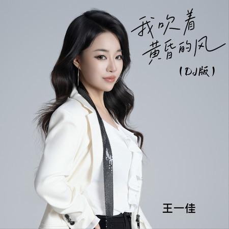我吹着黃昏的風（DJ阿尼版）