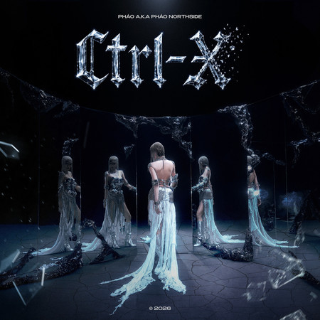 Ctrl X