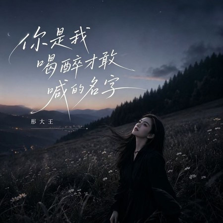 你是我喝醉才敢喊的名字