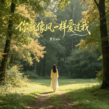 你就像風一樣愛過我
