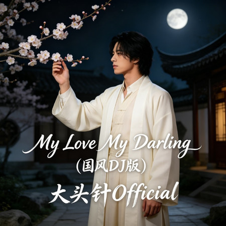 My Love My Darling（國風DJ版）