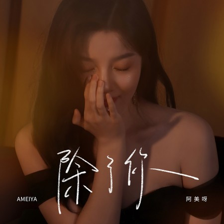除了你