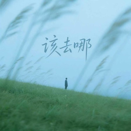 該去哪