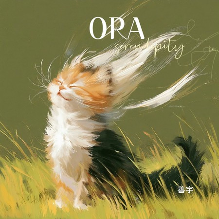 ORA (善宇版)