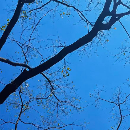 我們同頻共振（Only Once Anyway）