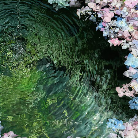 林澗迴響