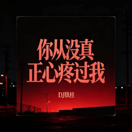 你從沒真正心疼過我