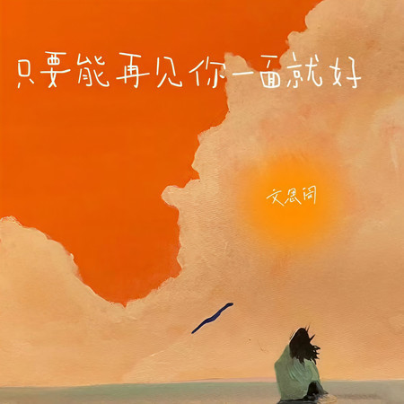 只要能再見你一面就好