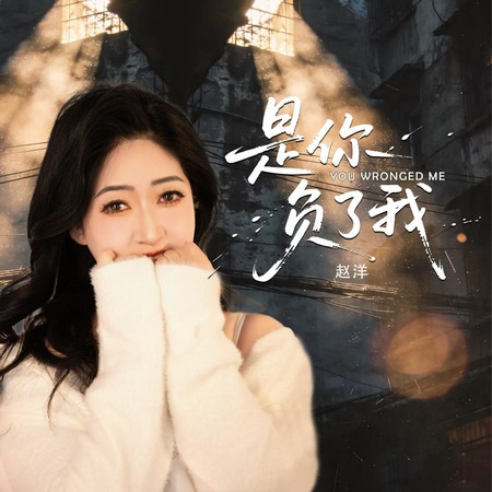 是你負了我